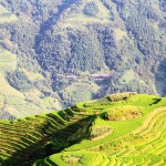 Beautiful scenary in the ricefields north of Guilin